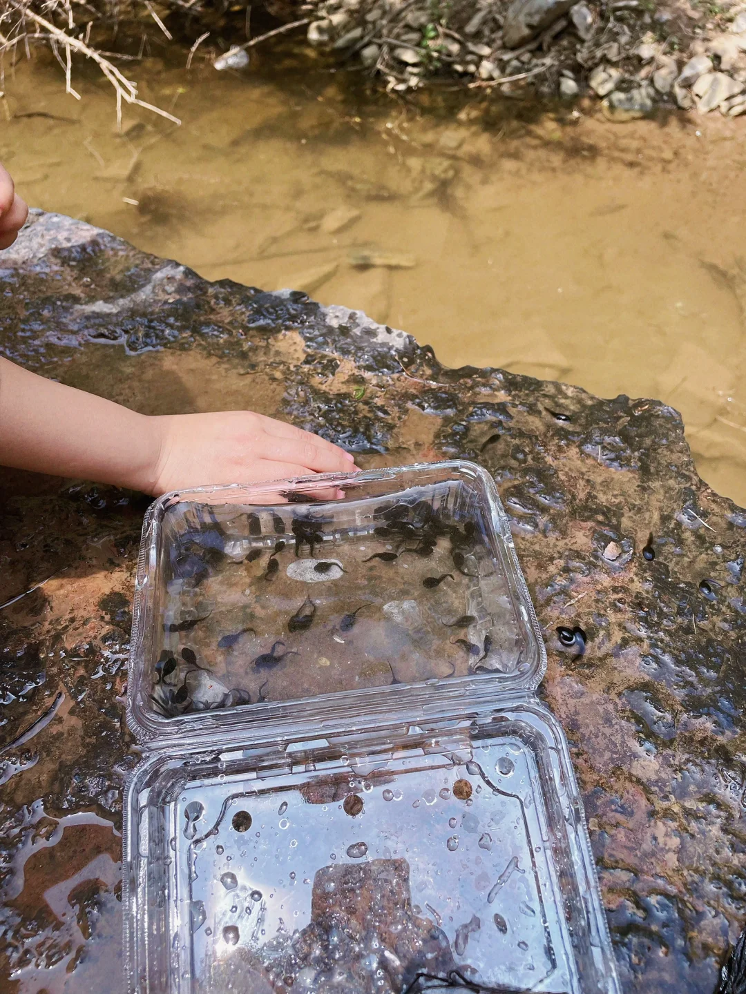 🎉探秘十八里河🌊自然美景,亲子游的好去处!