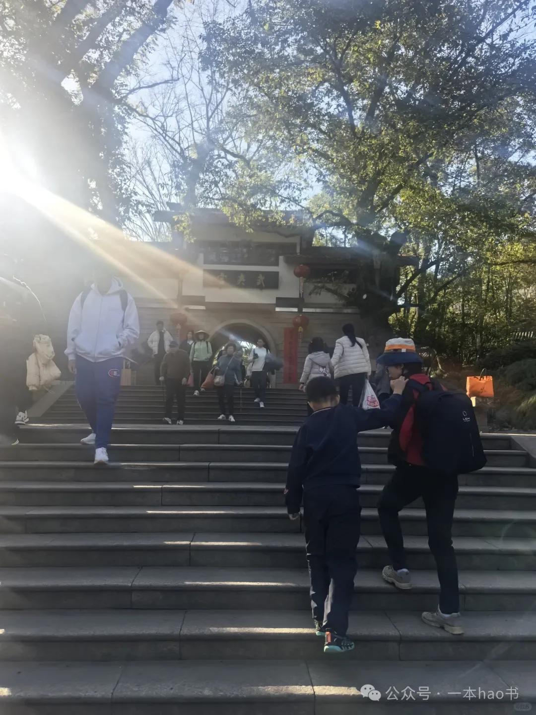 春节前游衢州和武夷山day3大红袍景区