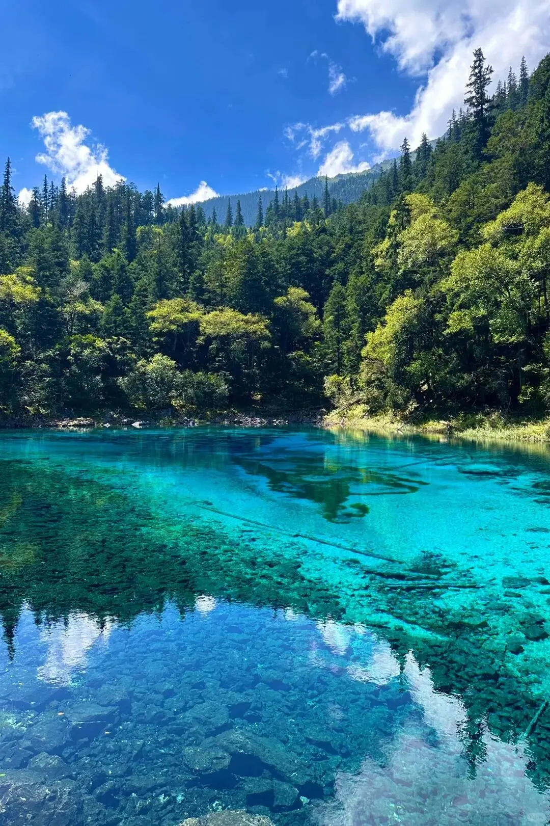 蓝天碧绿的九寨沟,太美了
