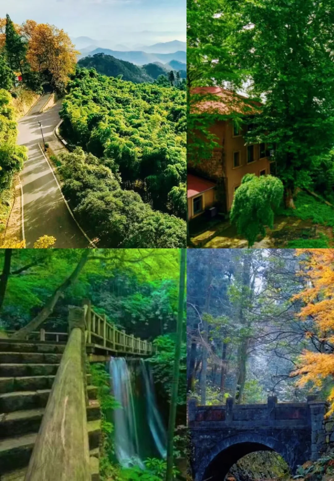 五一必打卡！进山吸氧 莫干山徒步