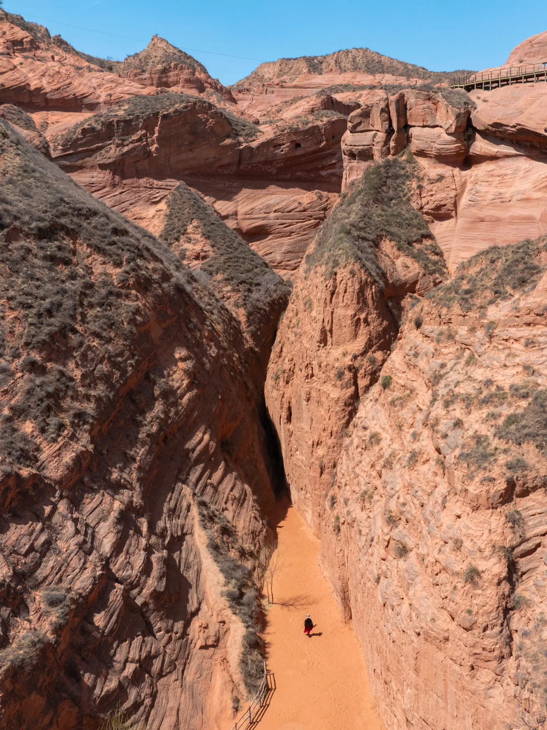 朋友圈问疯了！都以为我去了美国…🤣