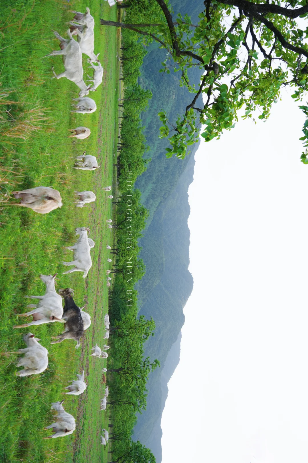 西安地铁直达,避开人群承包一座山的春天~