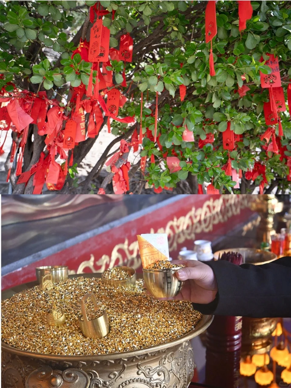 邯郸必打卡 9 大景点，保姆级攻略速码