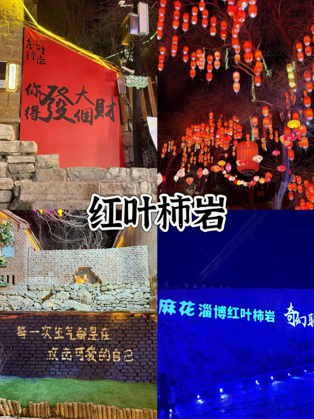 淄博｜239元一年的山东一码通到底值不值