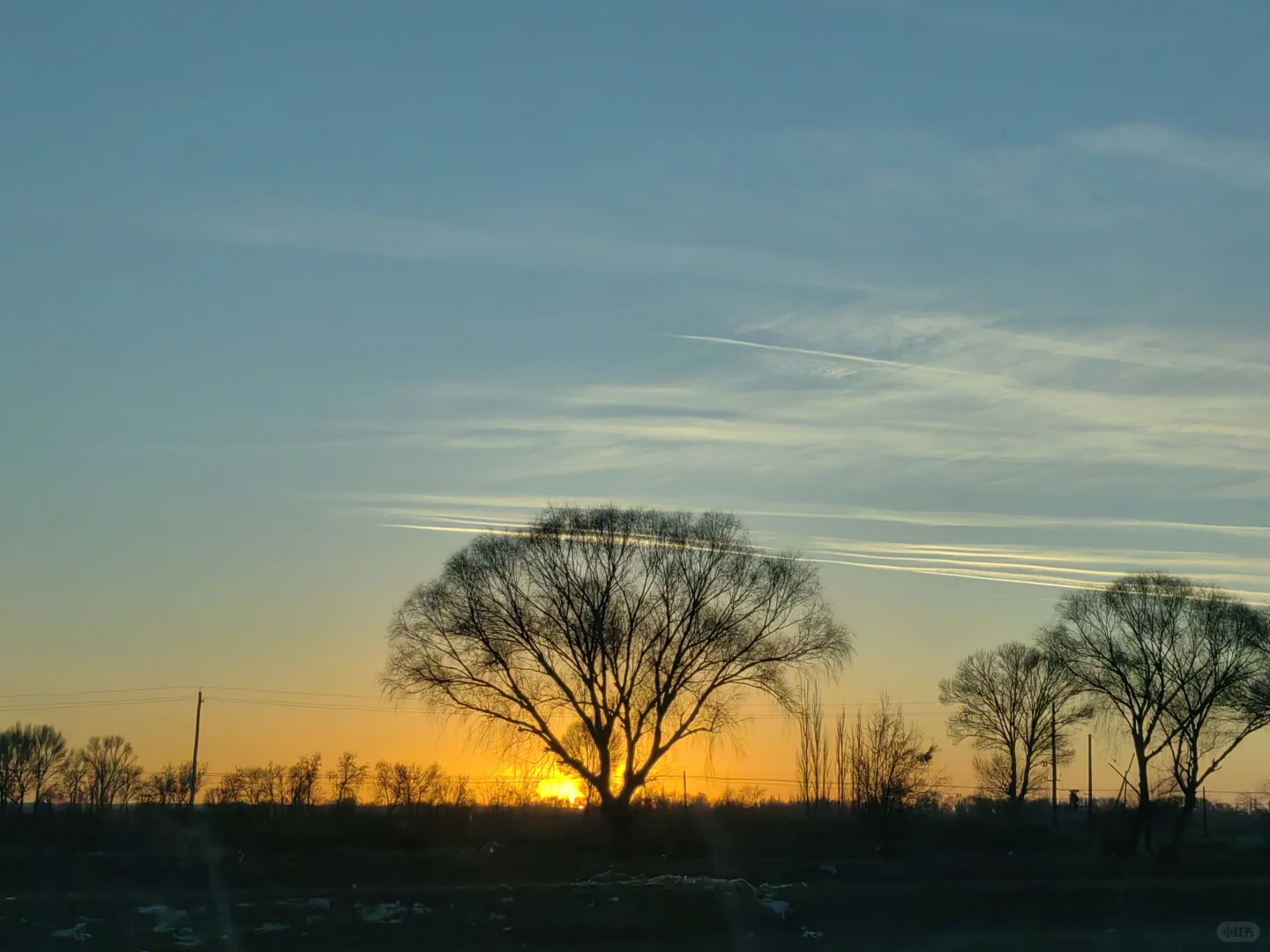 爱这人间 草木如书