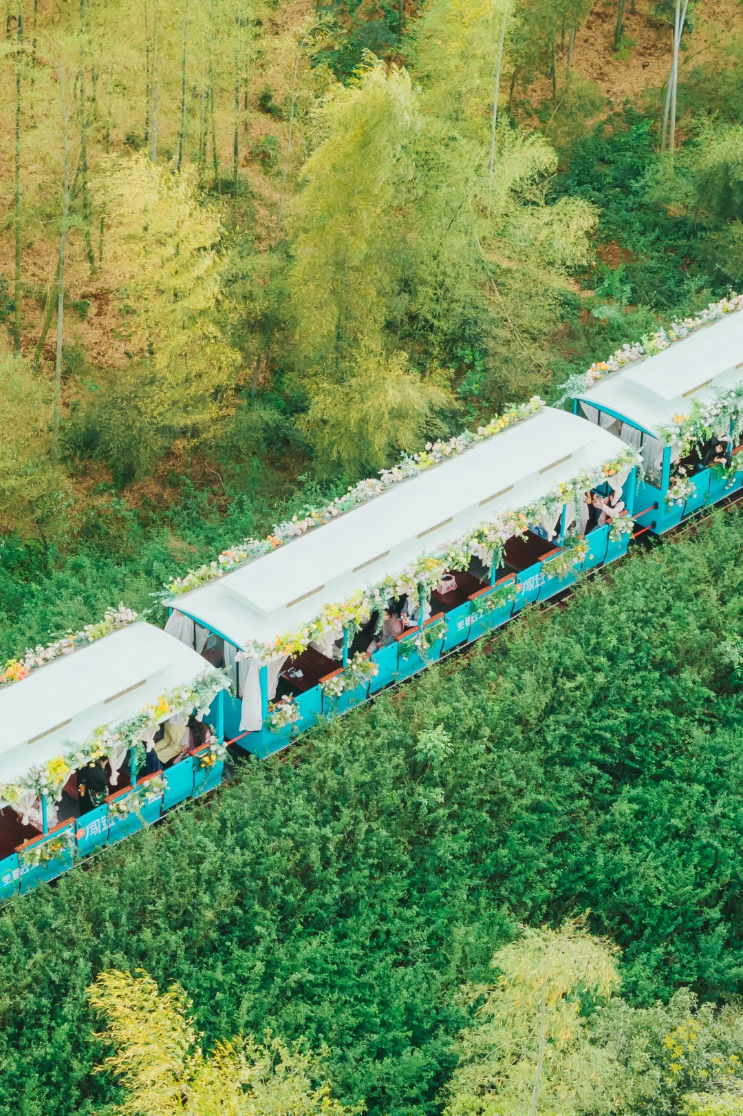 迄今为止，我最喜欢的宝藏小镇出现了❗