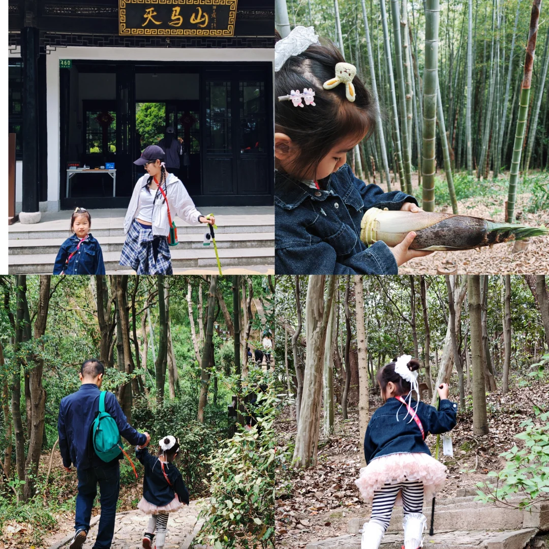 上海天马山亲子友好徒步：强烈推荐低幼宝宝