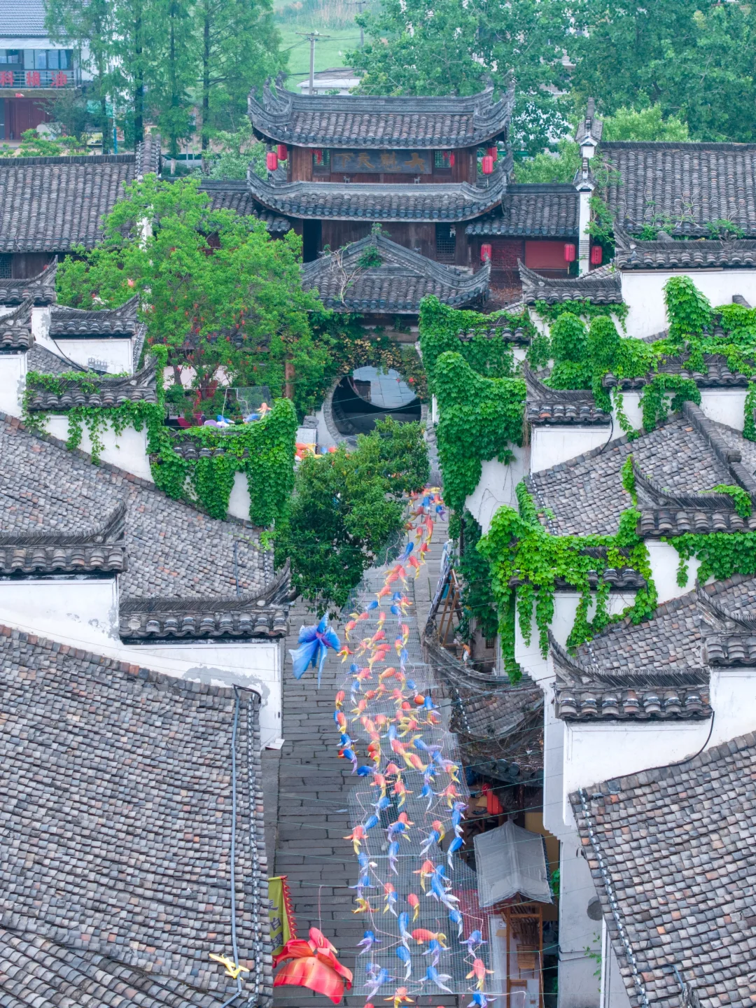 今年我去过的最冷门的地方，我很怕它会火……