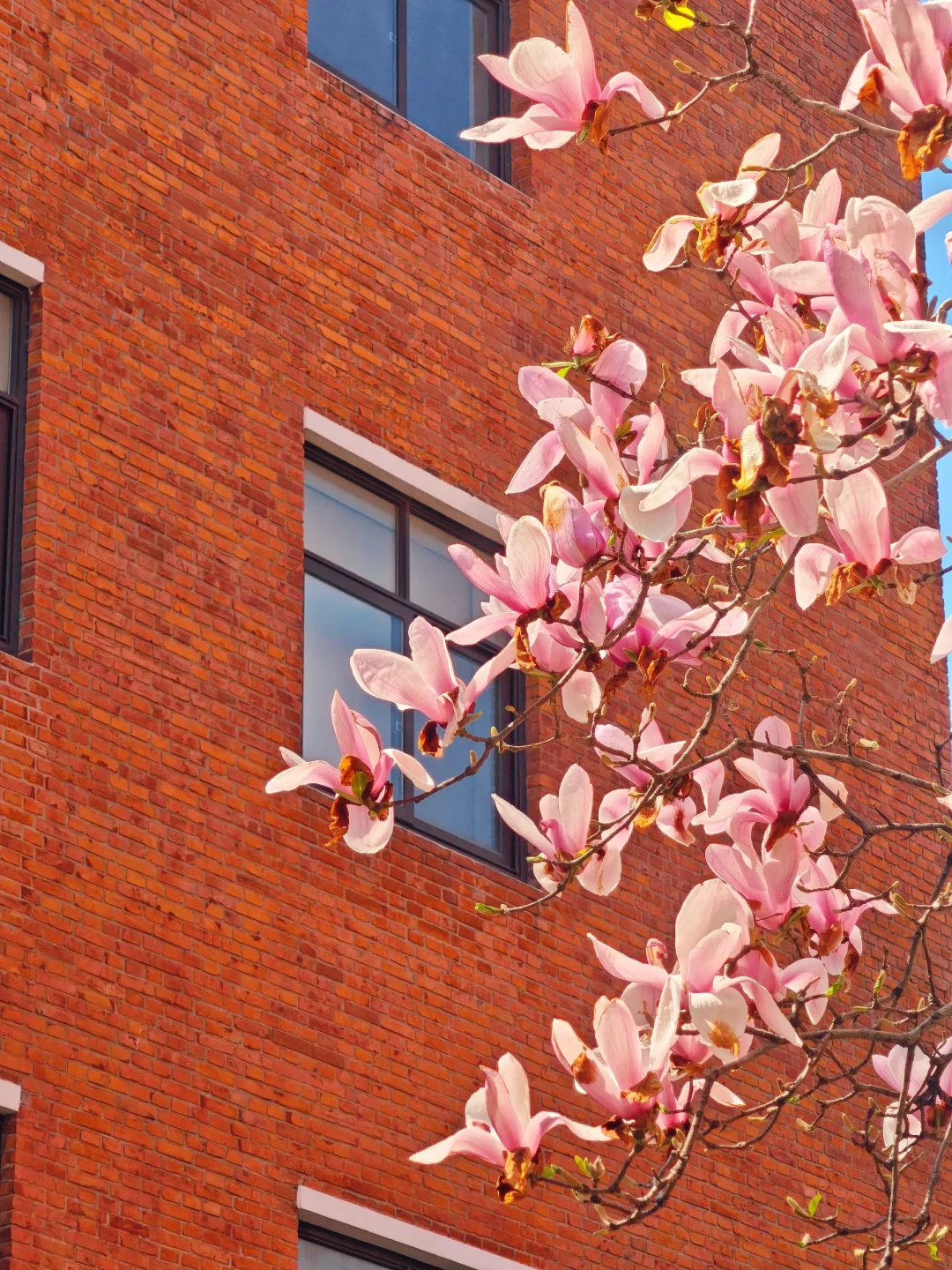 感谢自己在3月下旬毅然决然选择去上海——