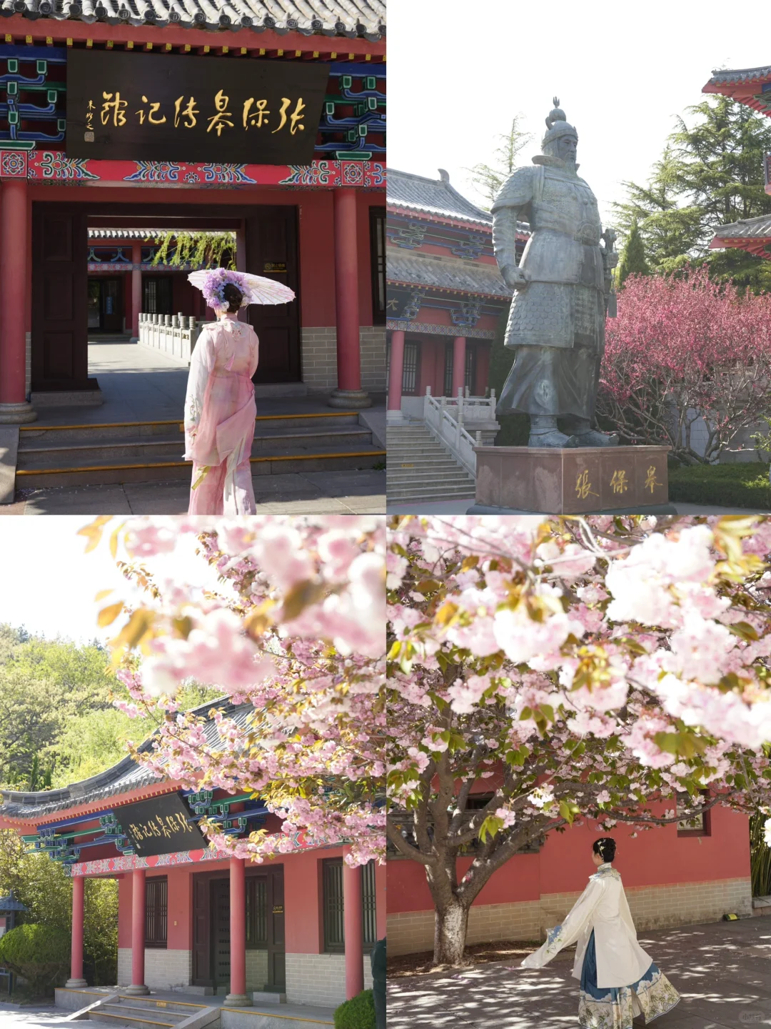 烟台五一周边游🌸威海石岛赤山樱花节‼️