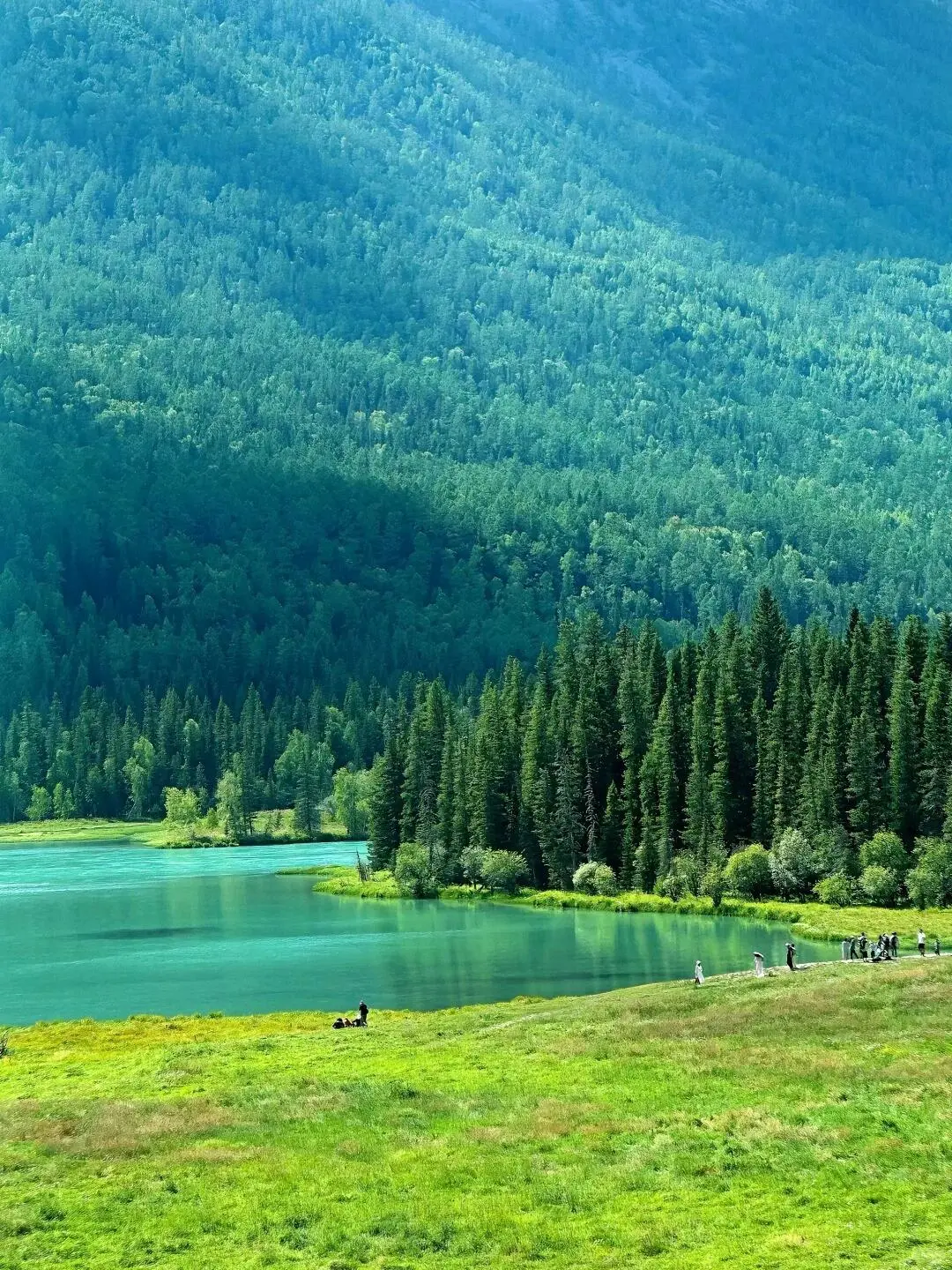 蓝天碧绿的九寨沟,太美了