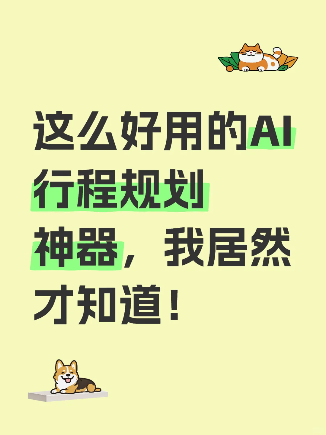 玉树情侣浪漫打卡地推荐💑
