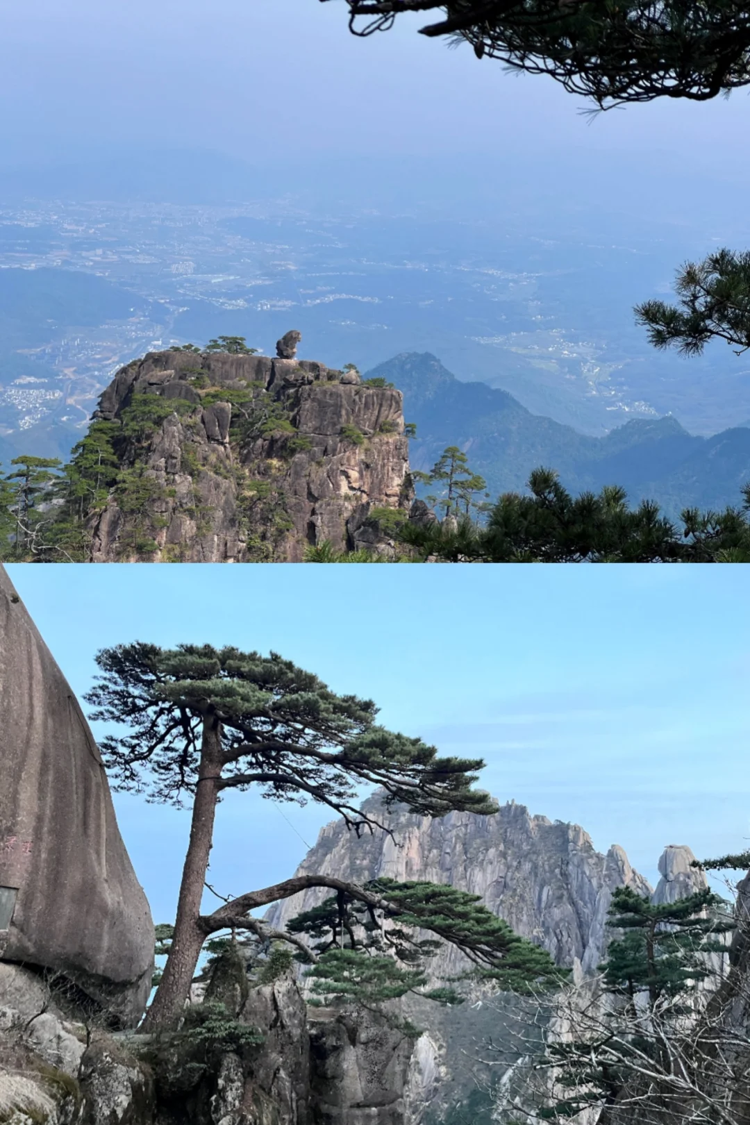 黄山和三清山我居然觉得三清山更胜一筹