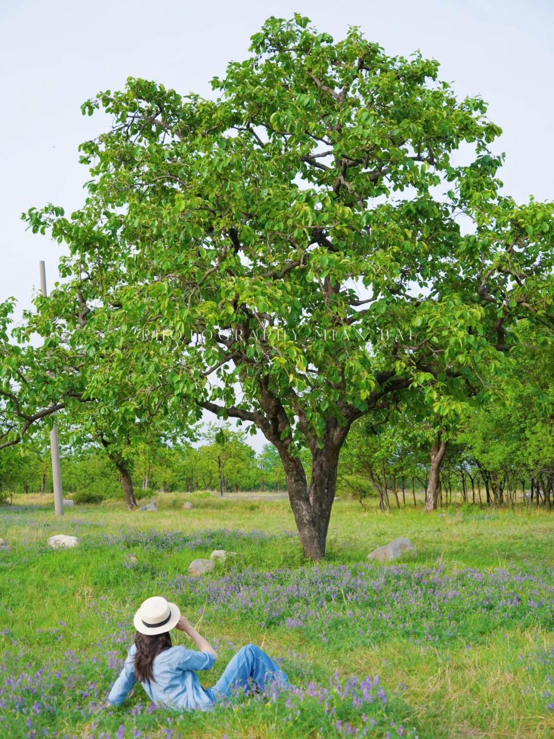 西安地铁直达,避开人群承包一座山的春天~