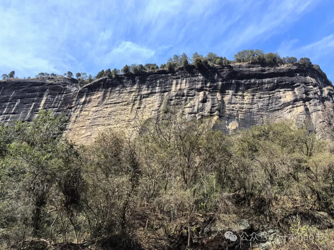 春节前游衢州和武夷山day3大红袍景区