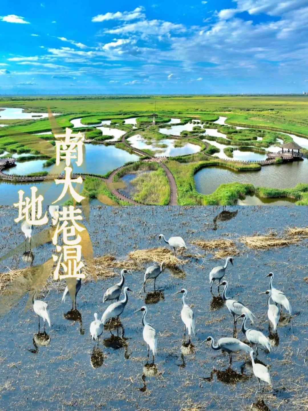 🏞河北冷门旅行清单！这4个小众景点藏不住了