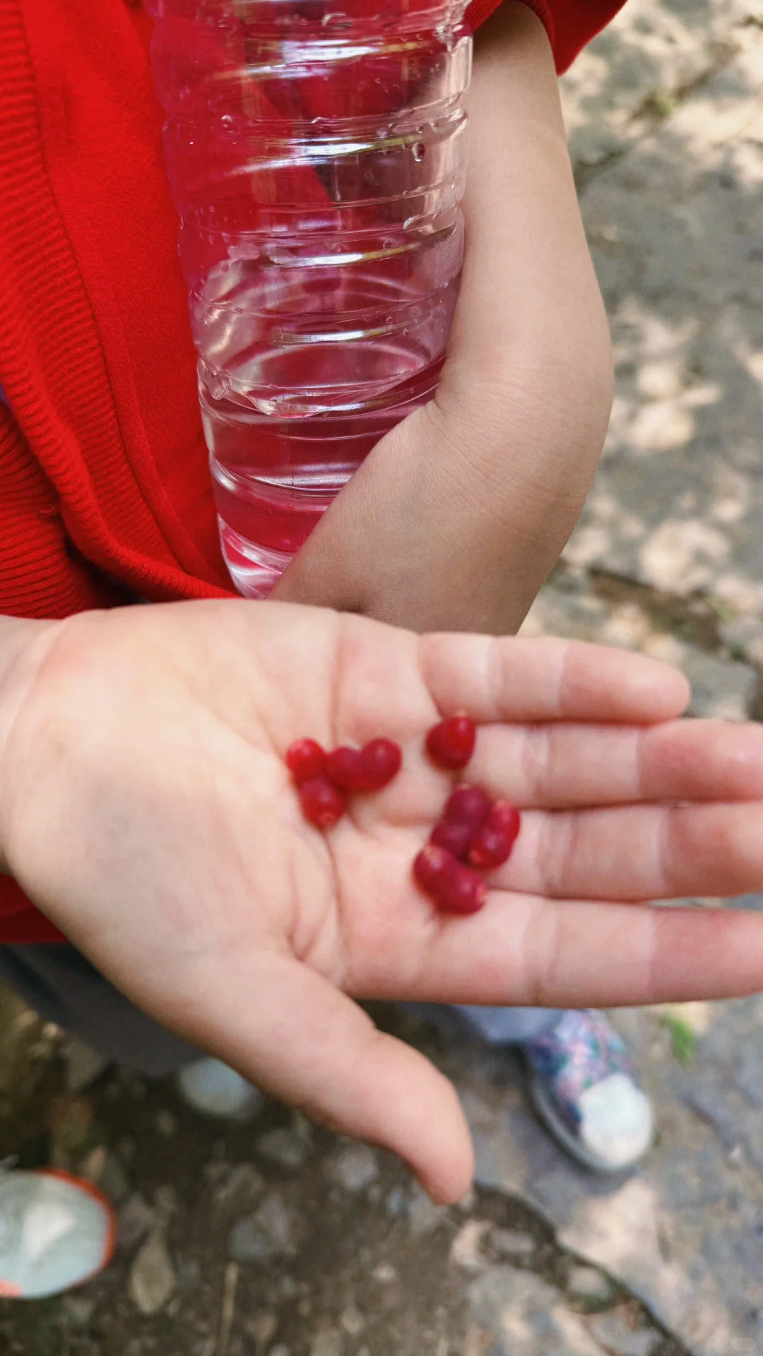 🎉探秘十八里河🌊自然美景,亲子游的好去处!
