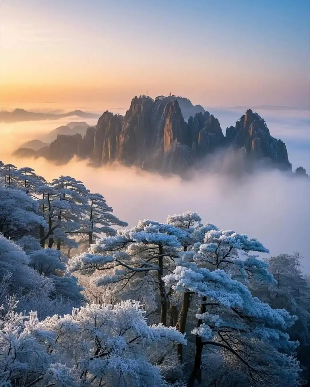 一生至少要去一次黄山！饱览松云石景