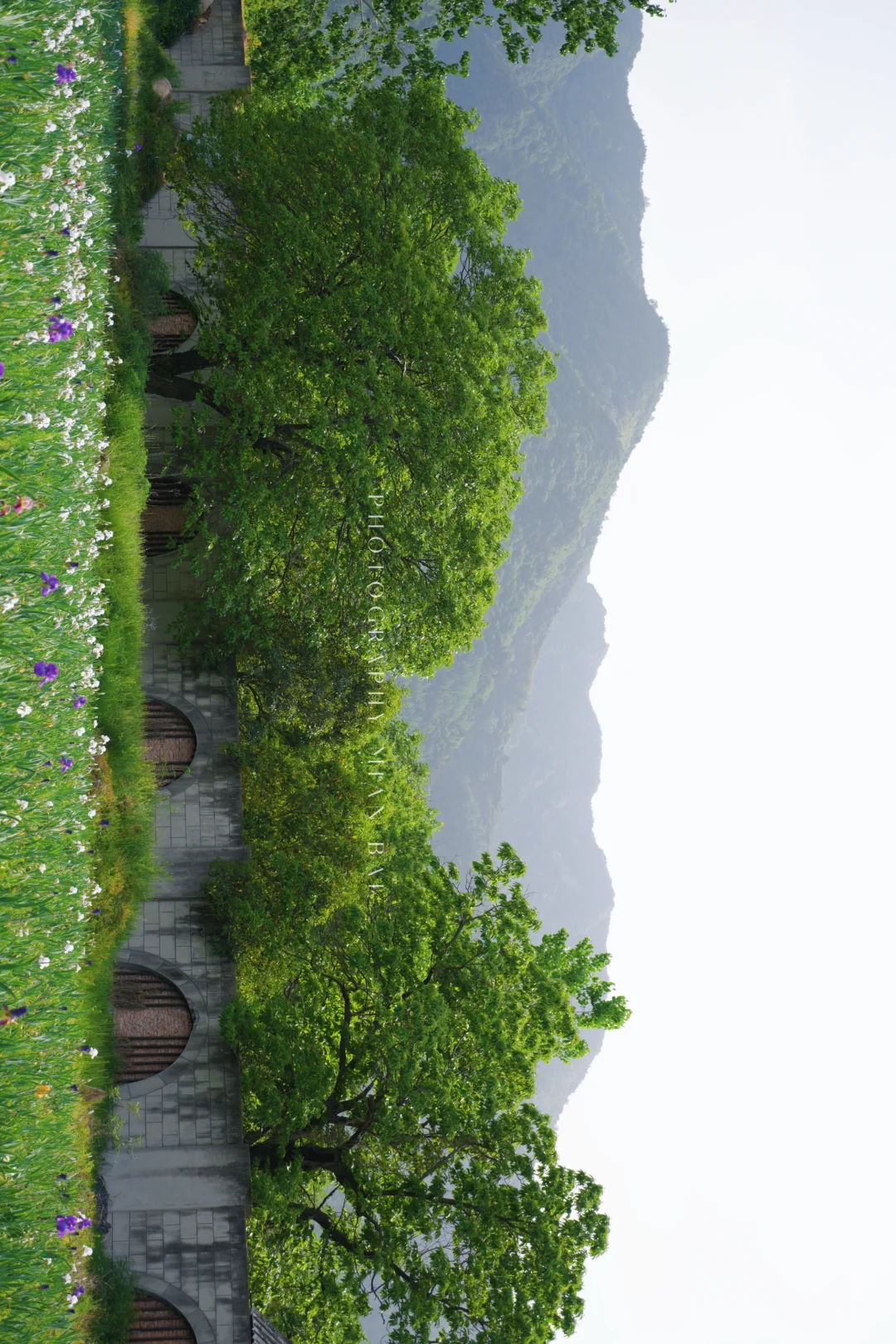 西安地铁直达,避开人群承包一座山的春天~