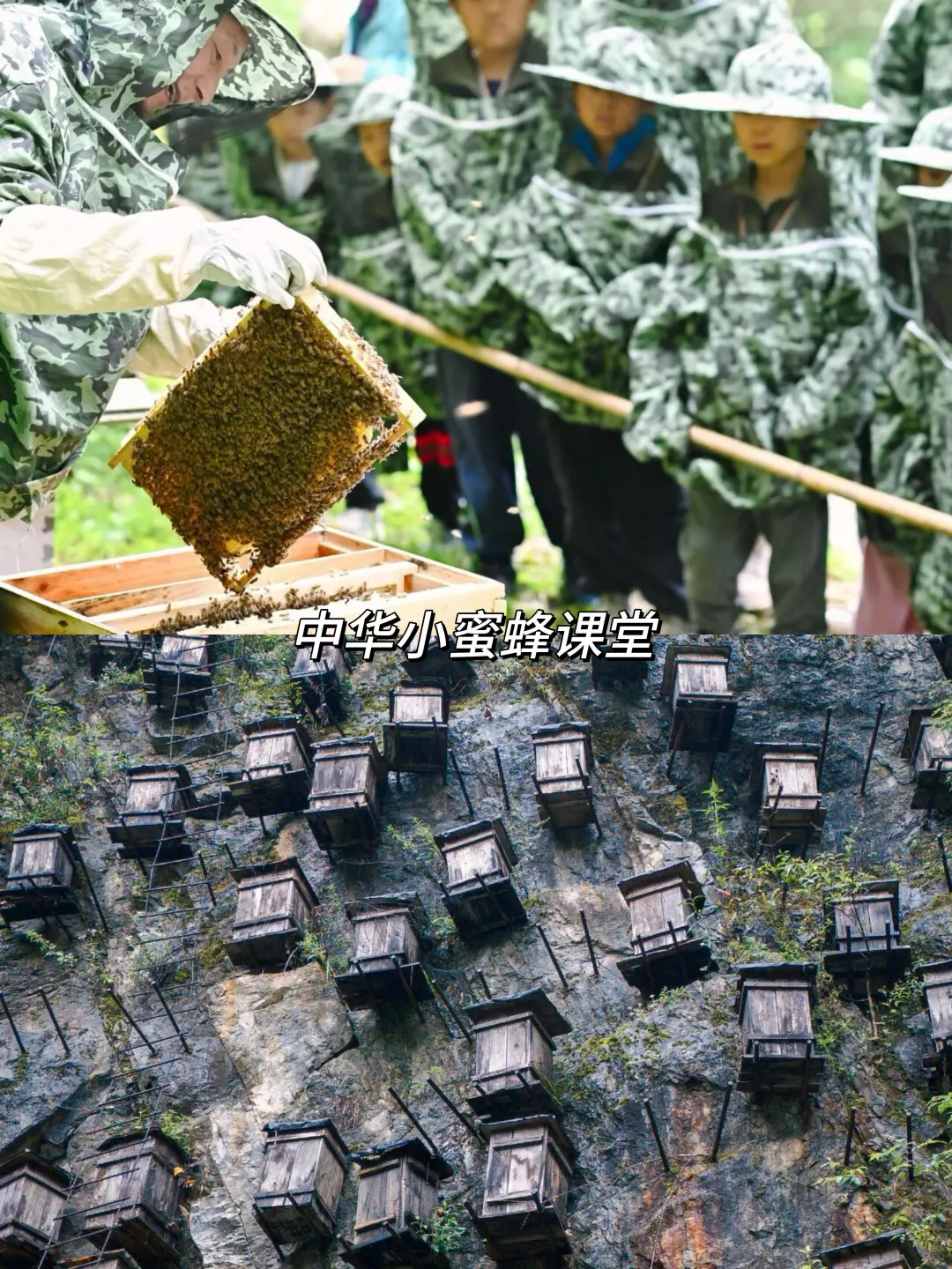 在贵州和恩施之间选择了恩施，冷门带娃绝了