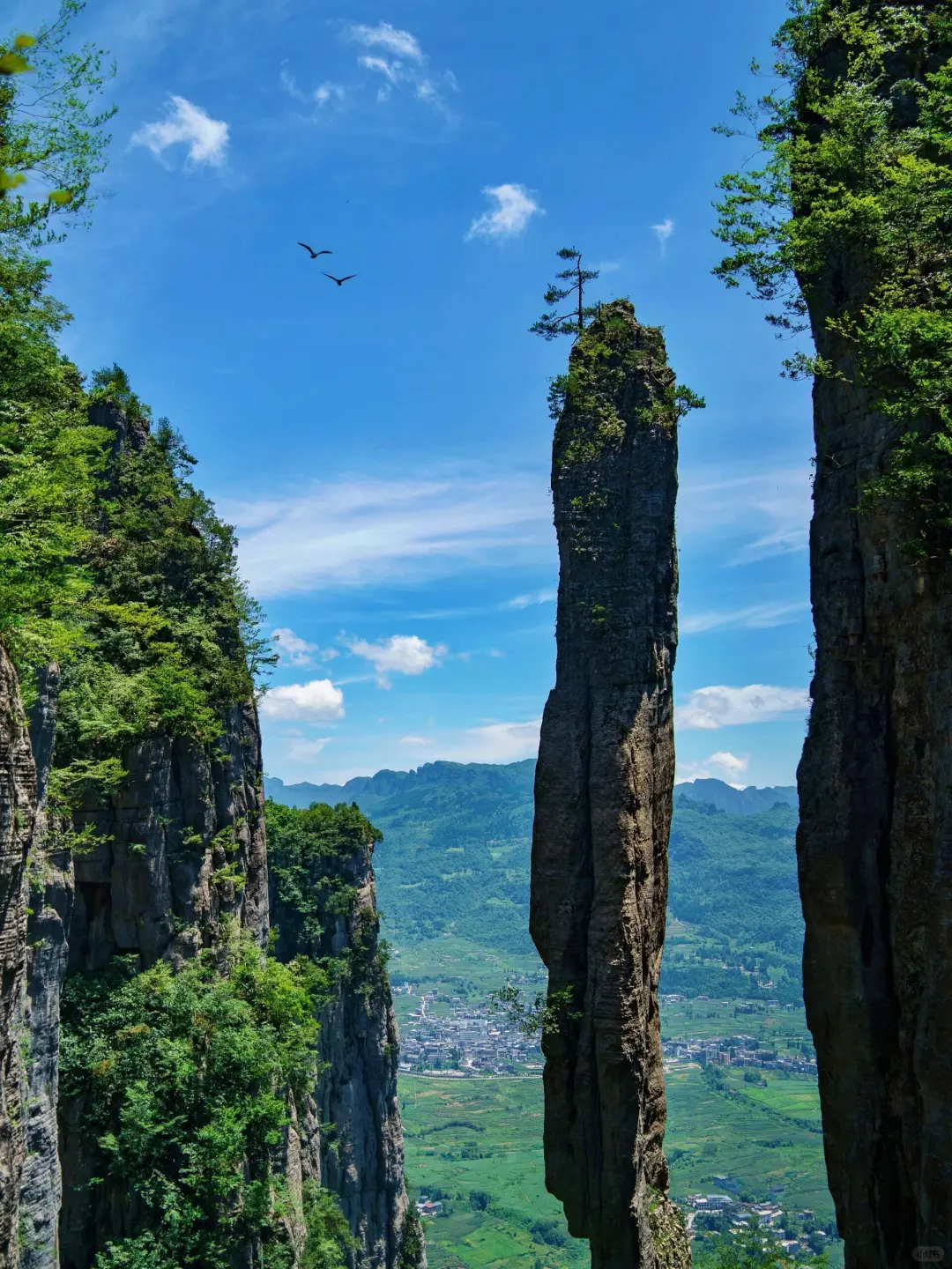 在贵州和恩施之间选择了恩施，冷门带娃绝了