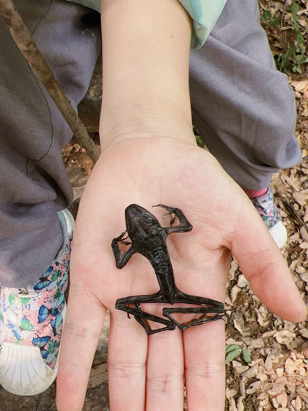 🎉探秘十八里河🌊自然美景,亲子游的好去处!