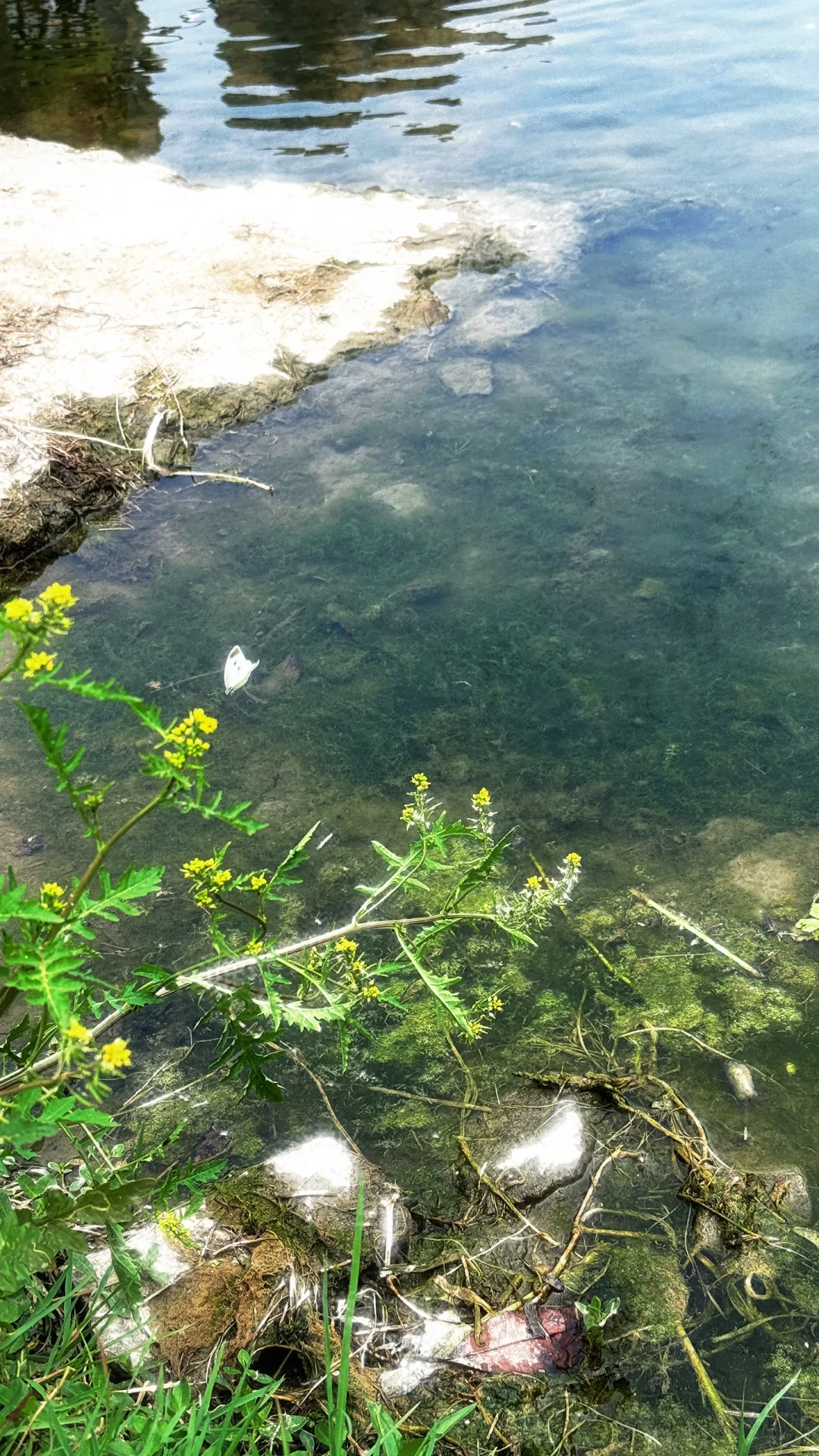 🎉探秘十八里河🌊自然美景,亲子游的好去处!