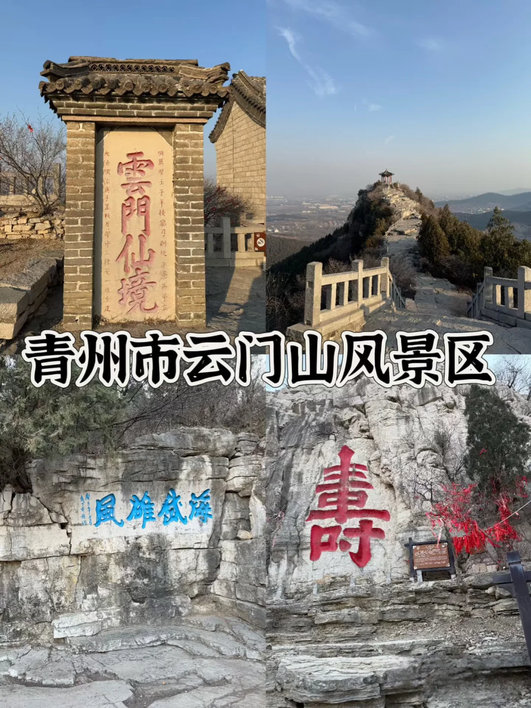 淄博｜239元一年的山东一码通到底值不值