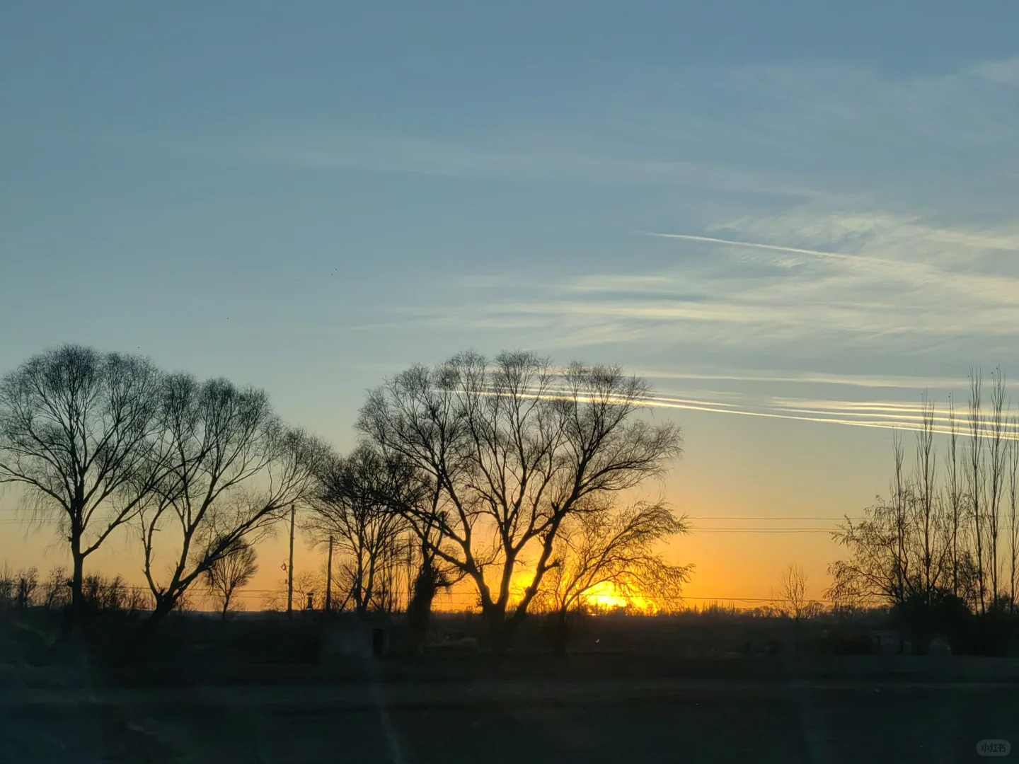 爱这人间 草木如书