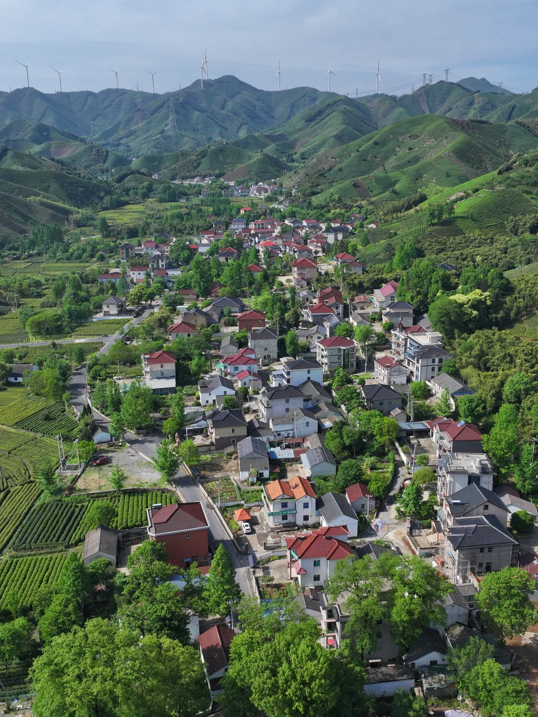 江浙沪绝对冷门有趣的地方❗太舒服了