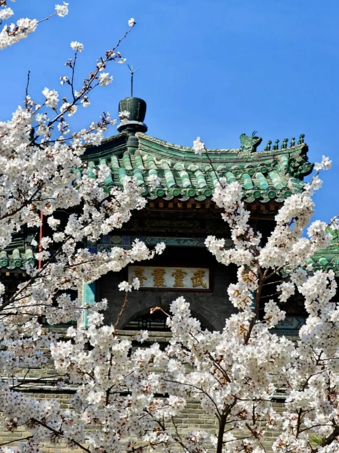 😎跟着本地人带你玩转邯郸！