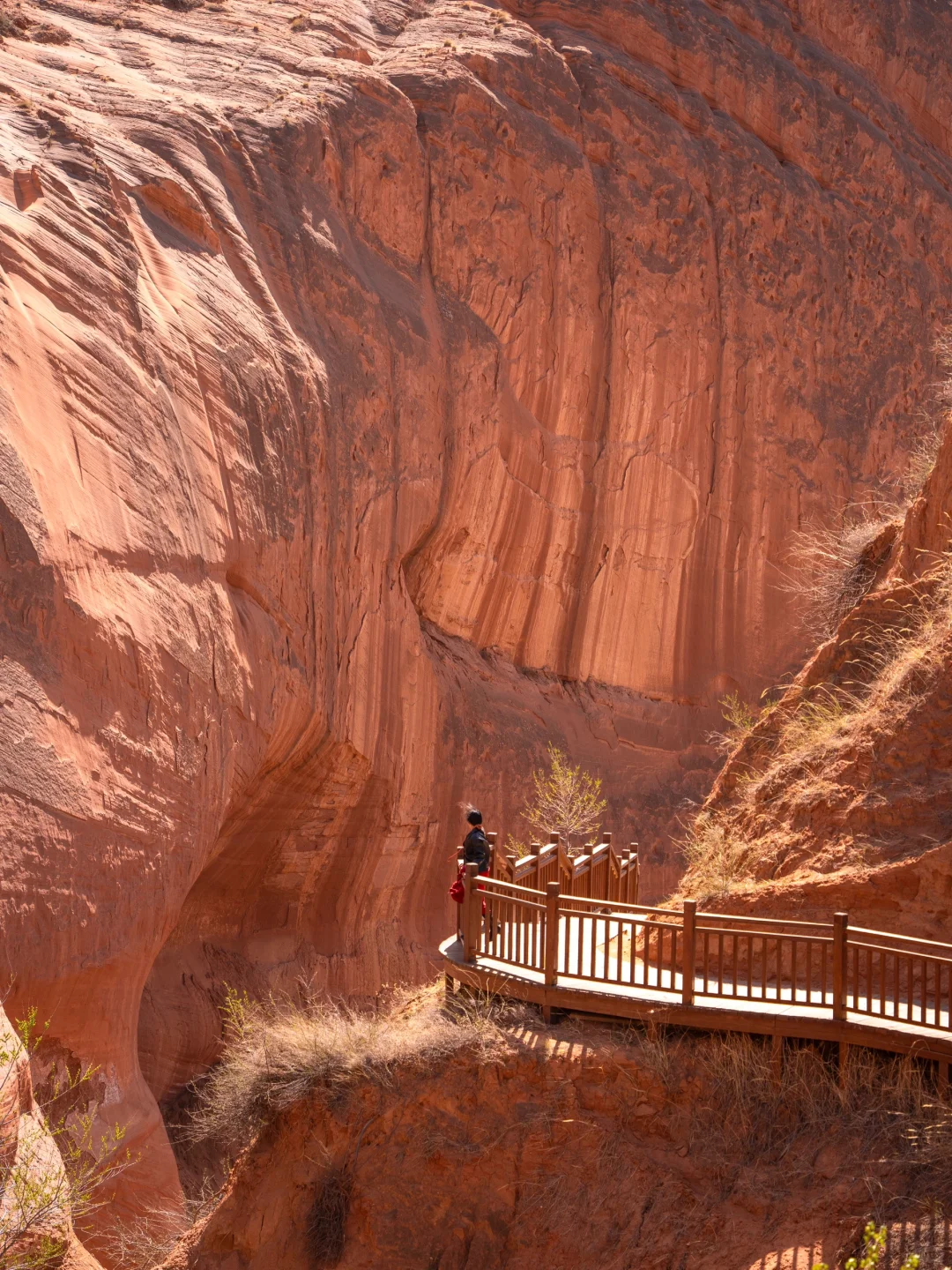 朋友圈问疯了！都以为我去了美国…🤣