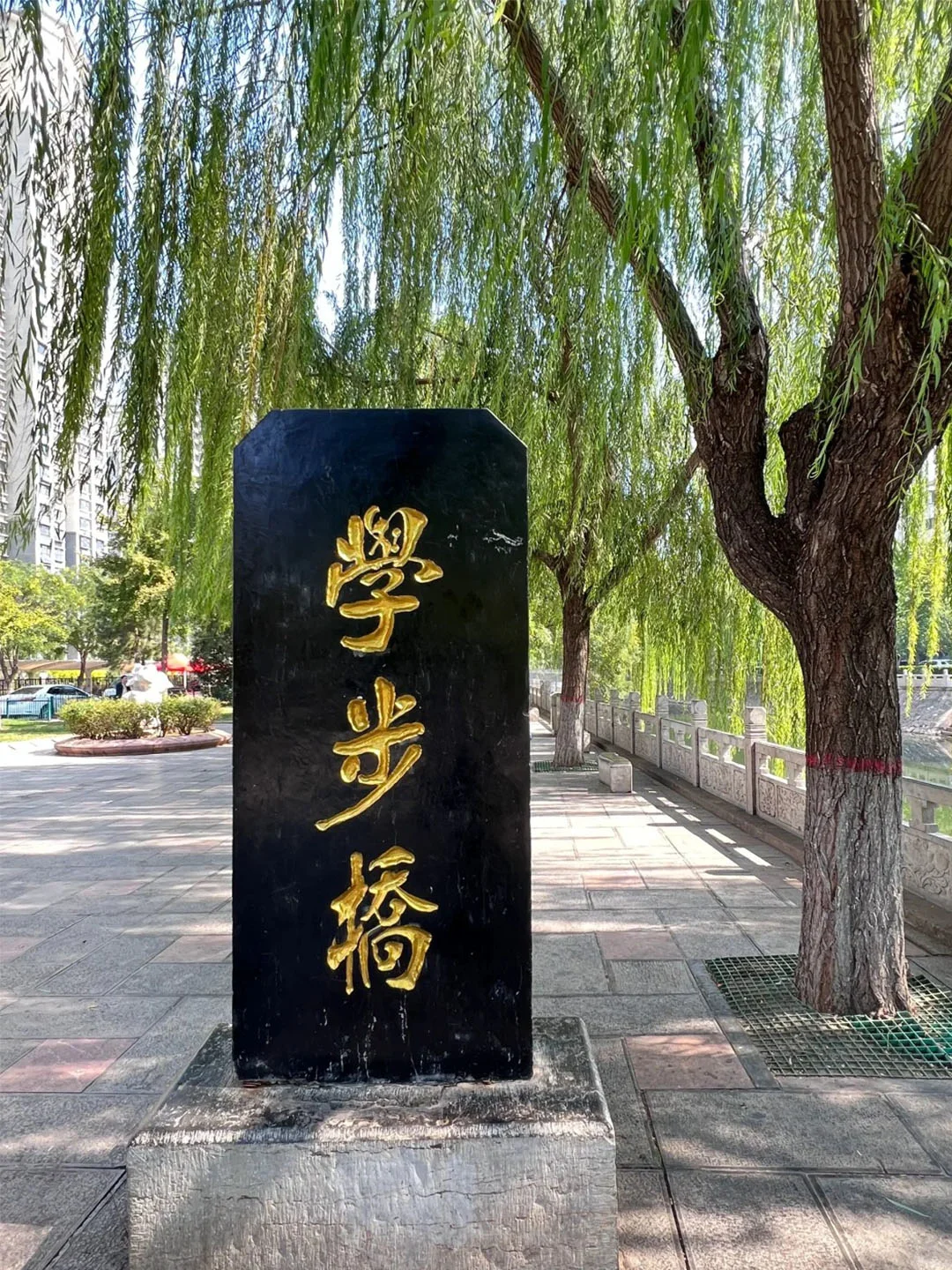 邯郸必打卡景点！本地人私藏路线大公开