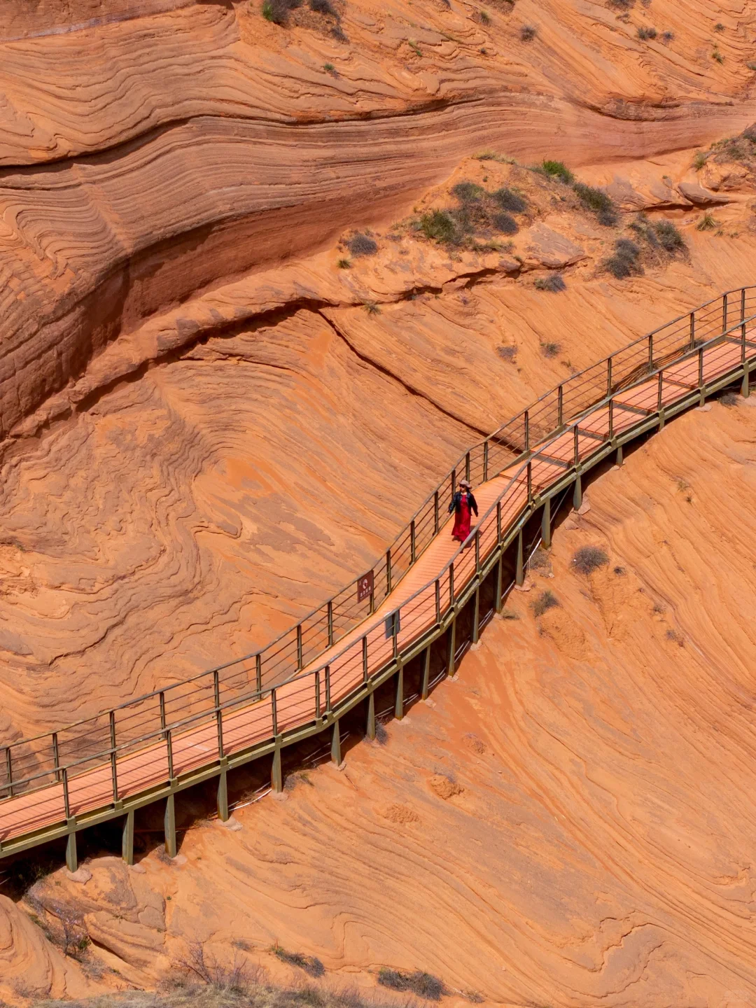 朋友圈问疯了！都以为我去了美国…🤣