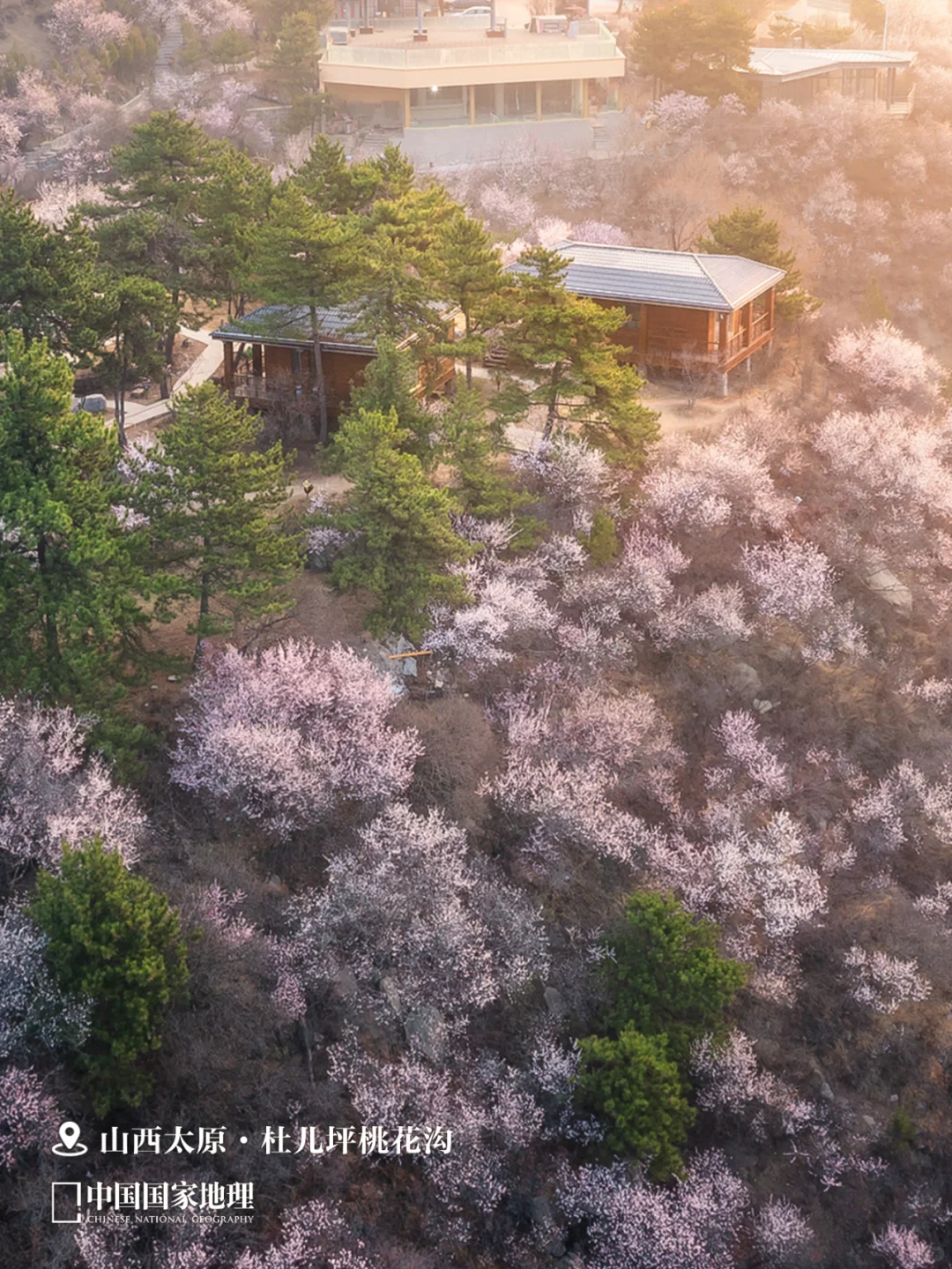 春天来这里，迎接你的“桃花”运🌺