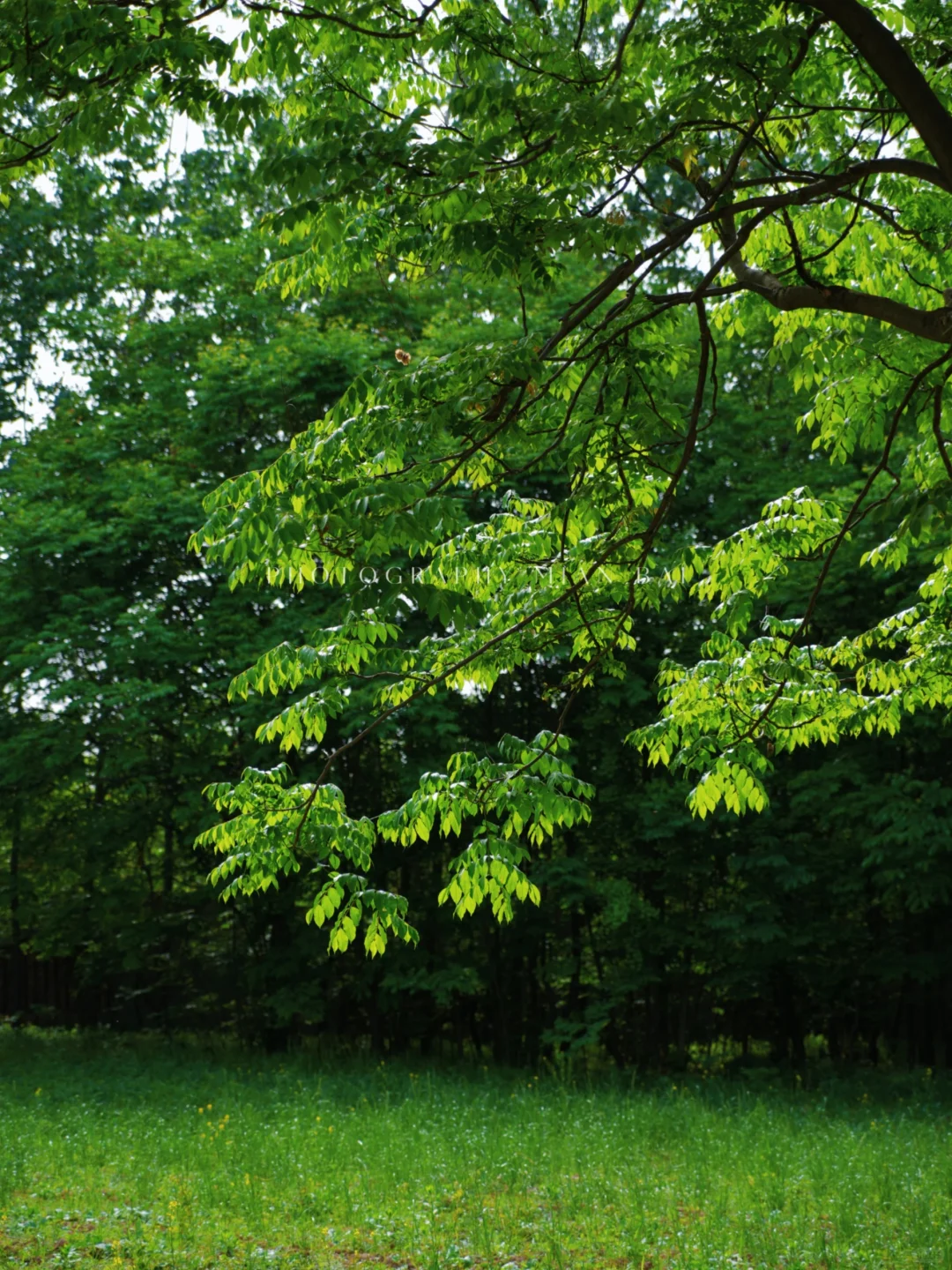 西安地铁直达,避开人群承包一座山的春天~