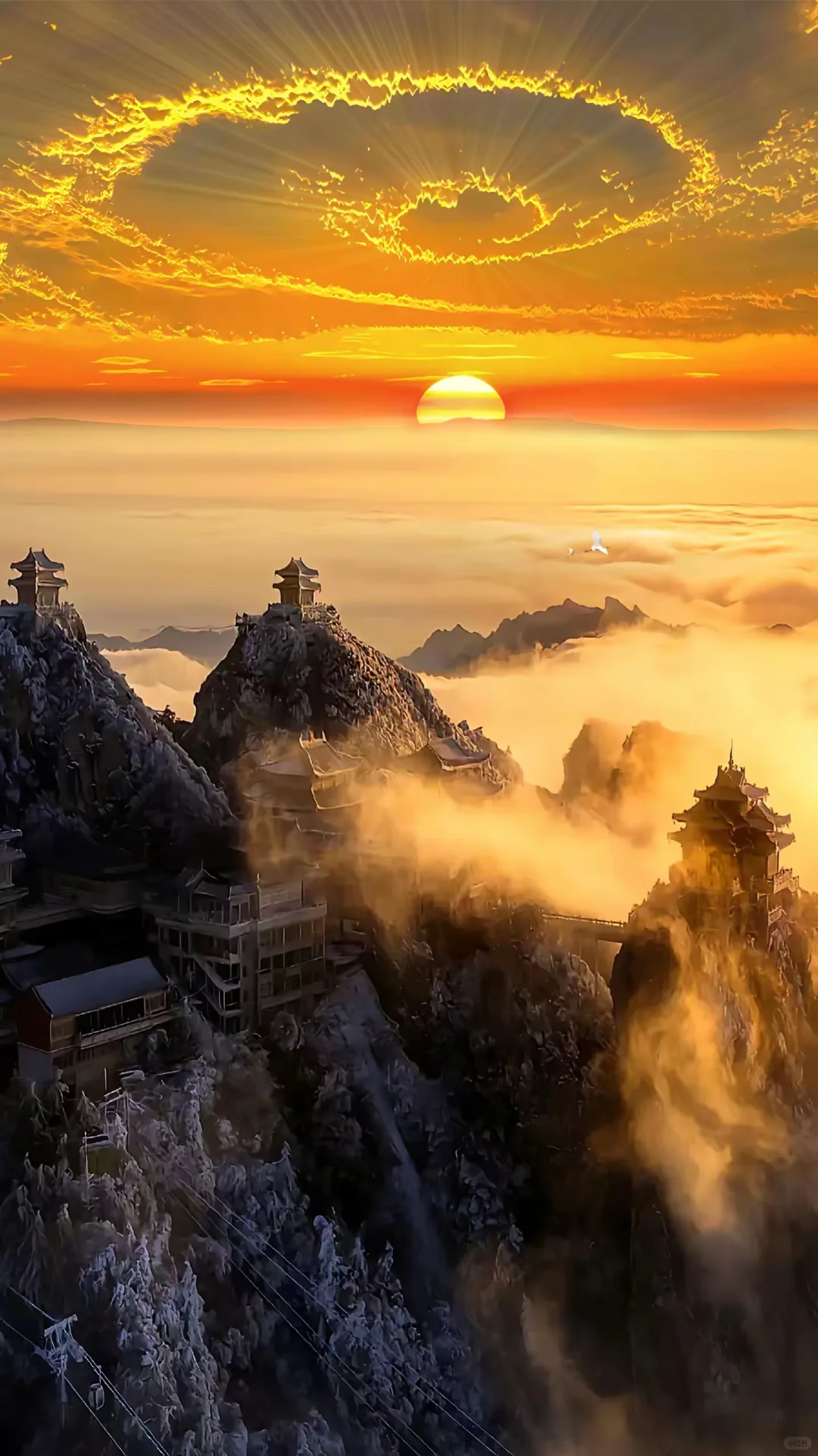 ### 洛阳老君山超详细旅游攻略🎉