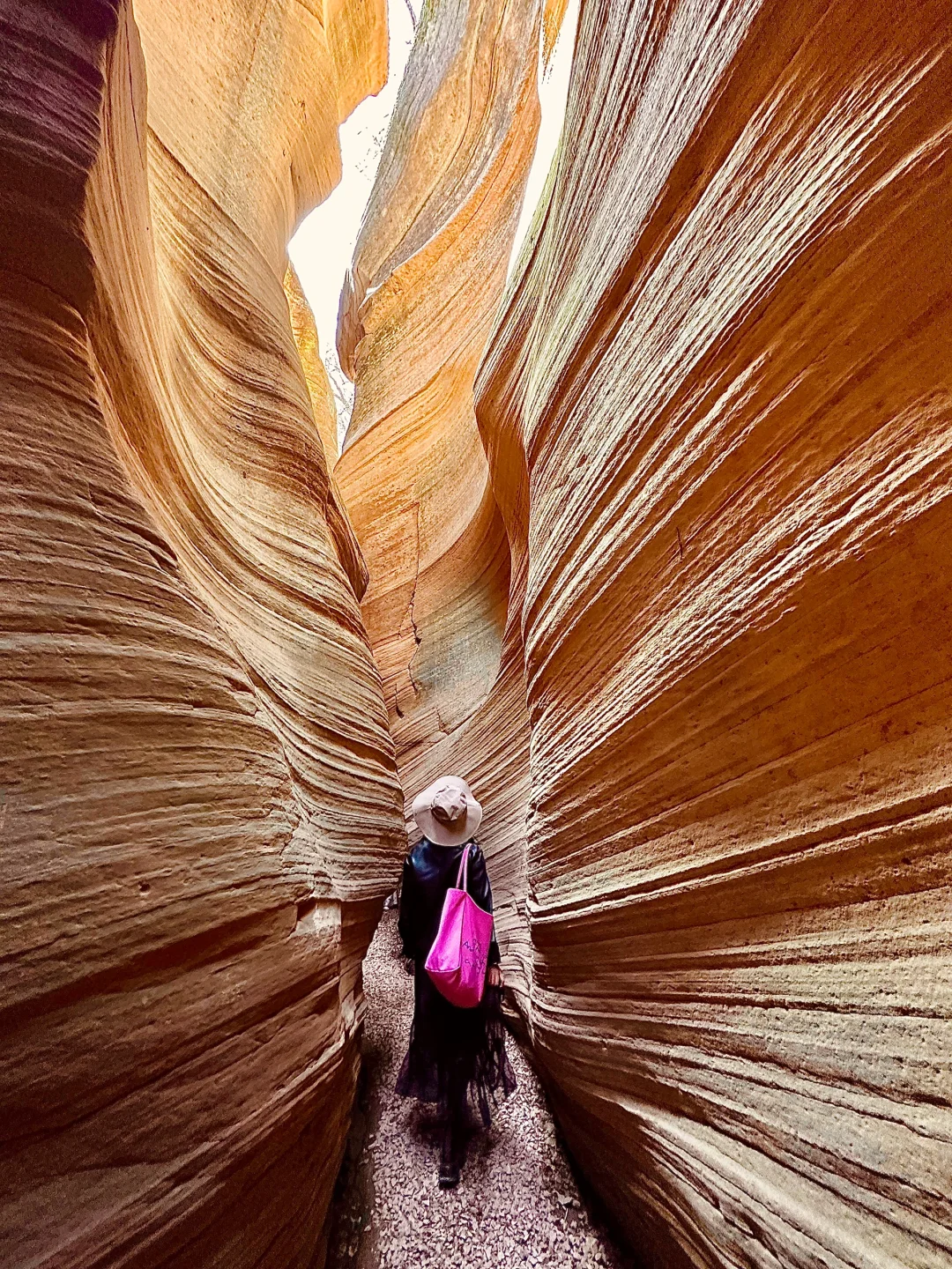 朋友圈问疯了！都以为我去了美国…🤣