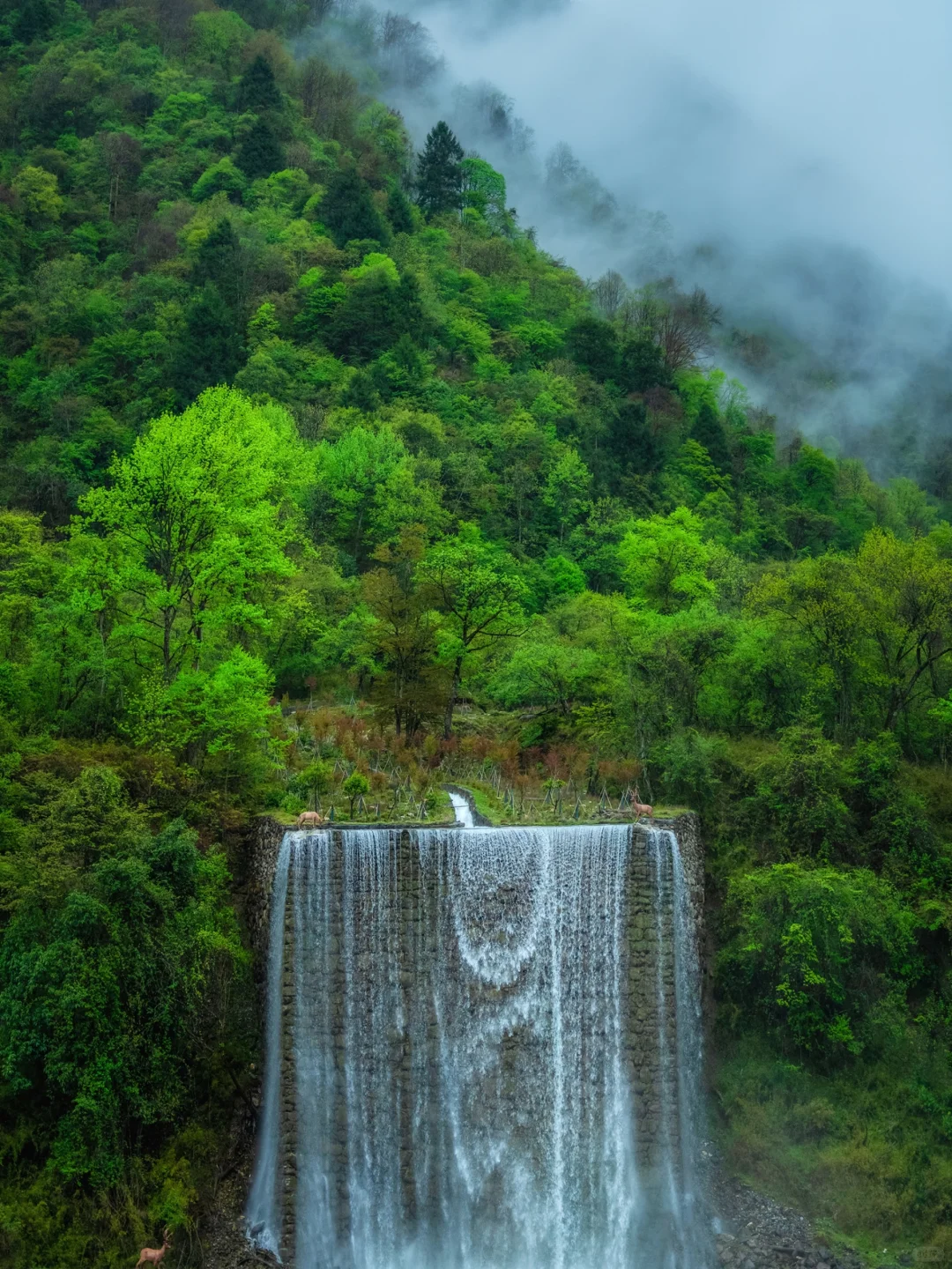 🌿在云端花海解锁春日治愈力🌿