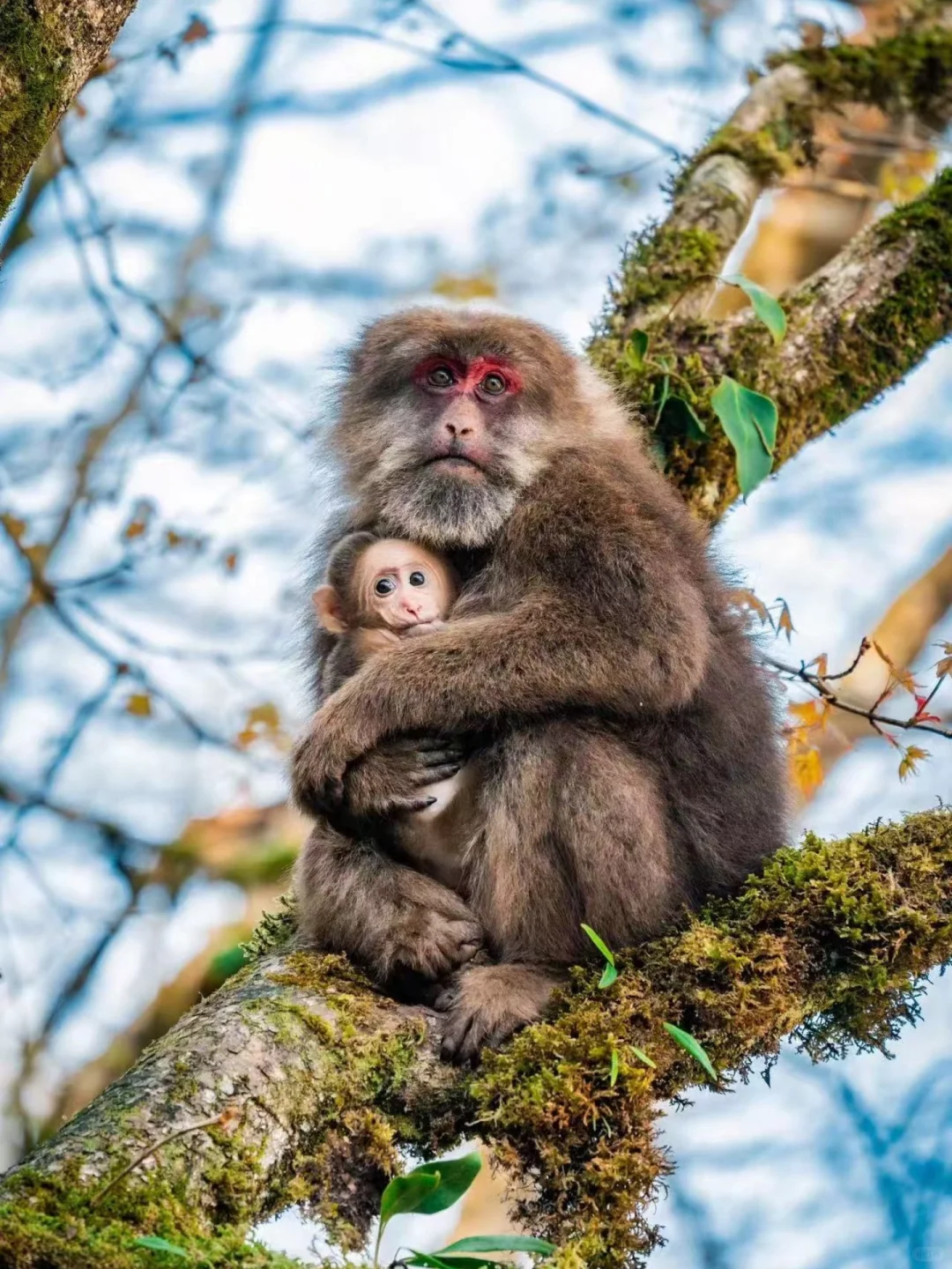 🌿在云端花海解锁春日治愈力🌿