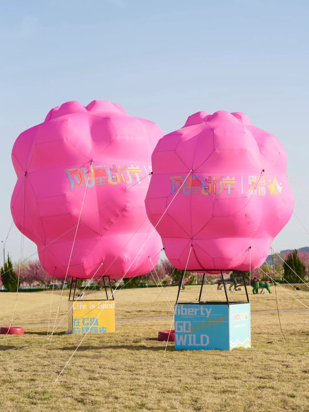 烟台五一周边游🌸威海石岛赤山樱花节‼️