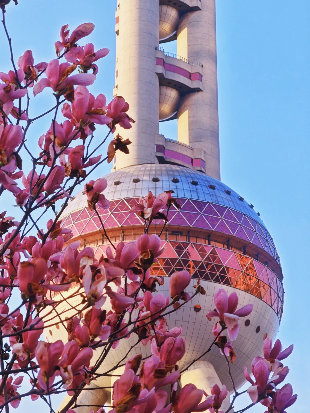 感谢自己在3月下旬毅然决然选择去上海——