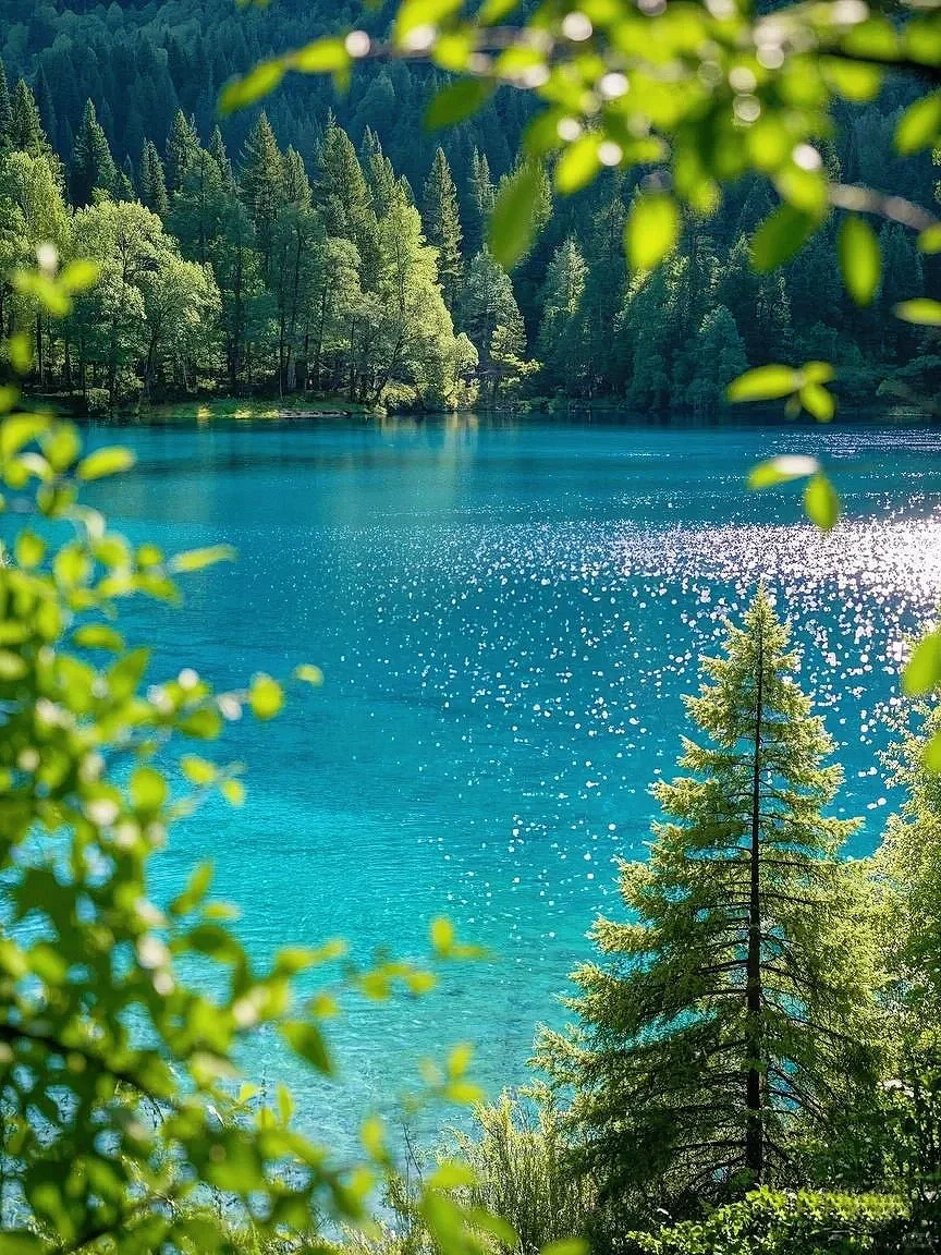 四姑娘山豪赌成功！美过瑞士的夏日氧吧🍃💐