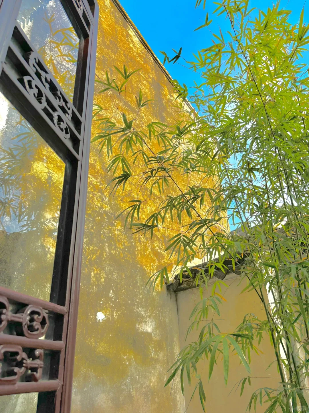 以为南京够美了🍃直到我来到了苏州....