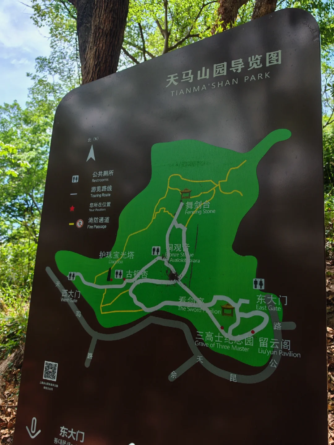 上海天马山亲子友好徒步：强烈推荐低幼宝宝