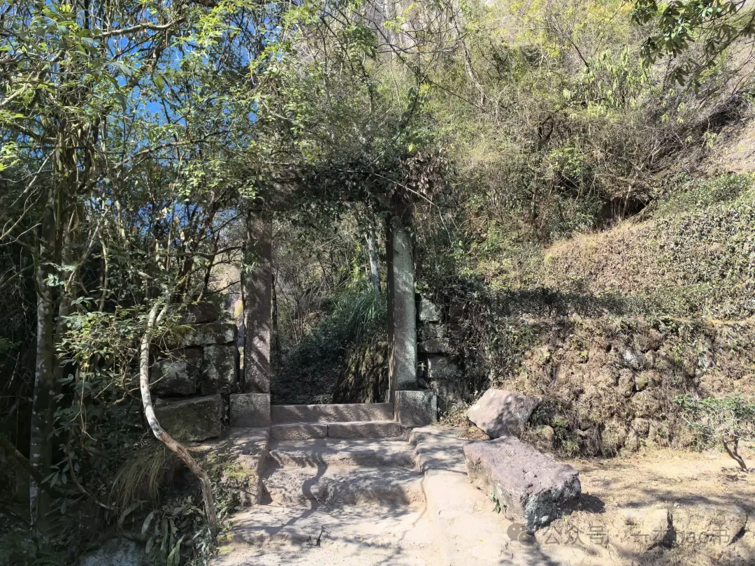 春节前游衢州和武夷山day3大红袍景区