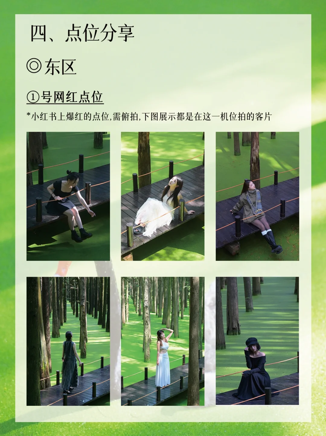 青山湖绿了🍃！杭州可冲🔝！后附详细攻略🔎！