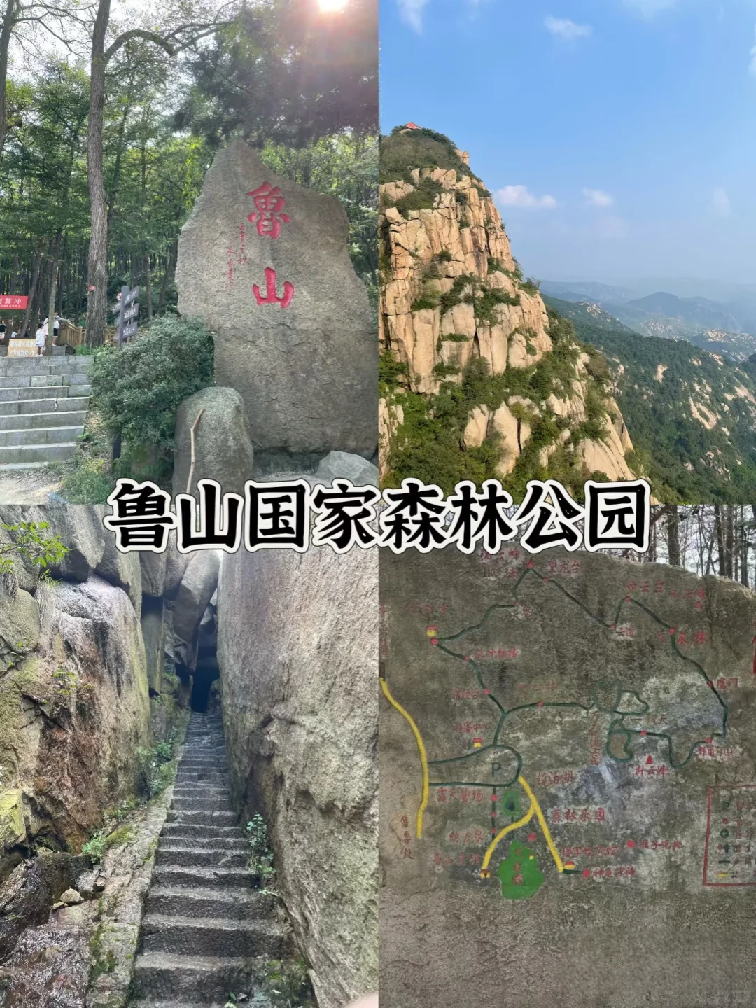 淄博｜239元一年的山东一码通到底值不值