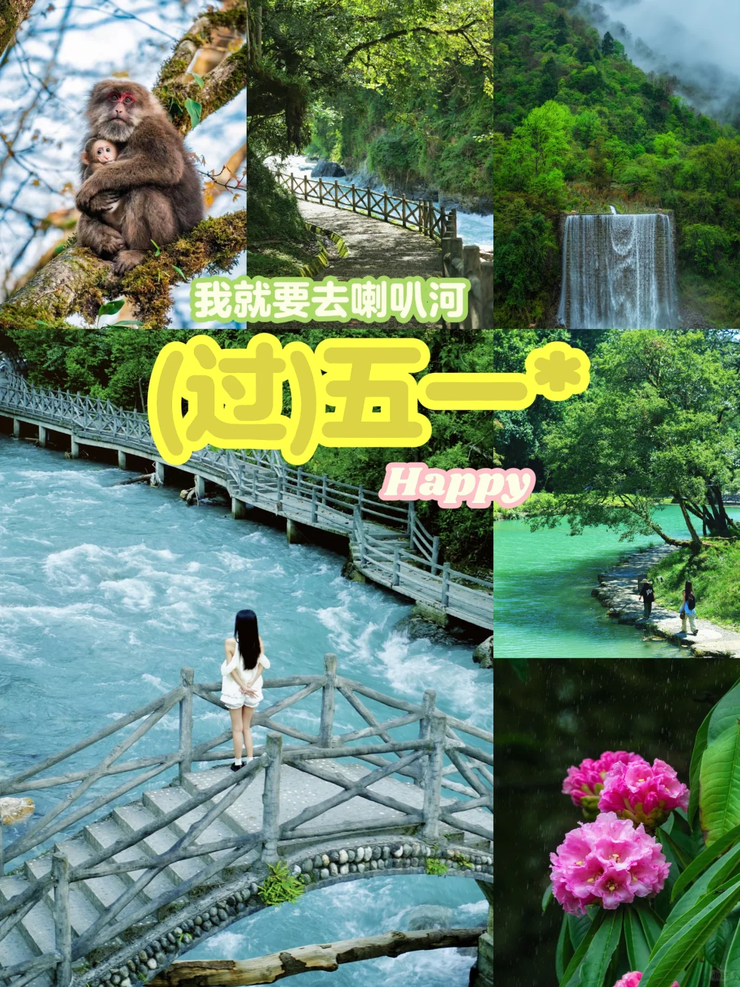 🌿在云端花海解锁春日治愈力🌿