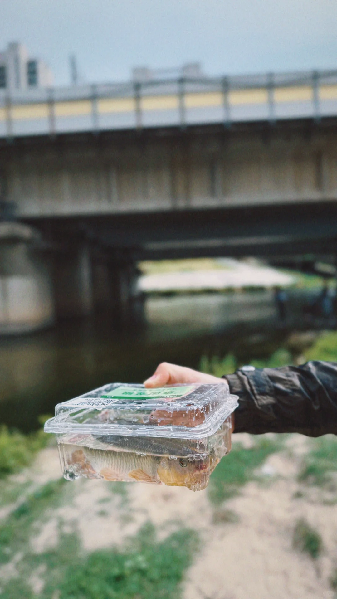🎉探秘十八里河🌊自然美景,亲子游的好去处!